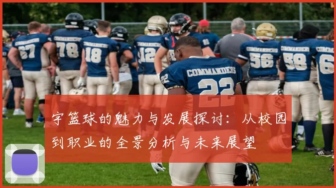 宇篮球的魅力与发展探讨：从校园到职业的全景分析与未来展望