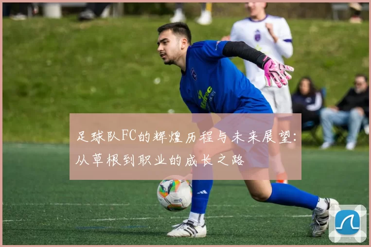 足球队FC的辉煌历程与未来展望：从草根到职业的成长之路